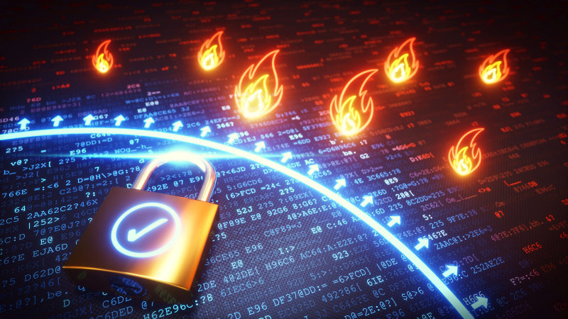 Firewall ve Network Kurulumu